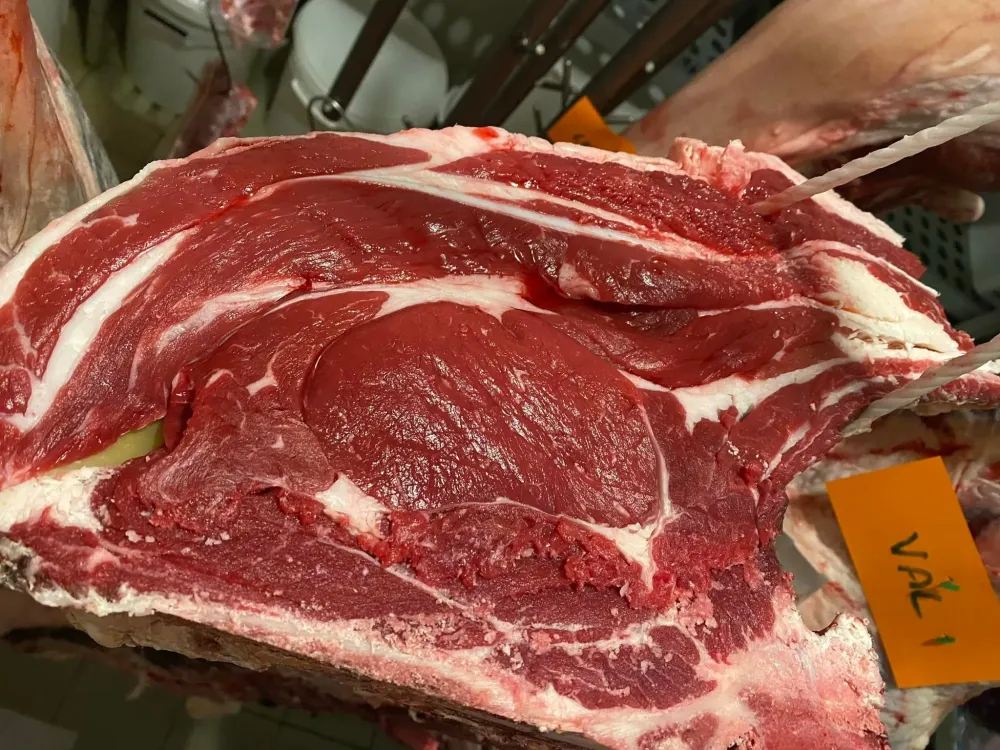 livraison boucherie à Bazas